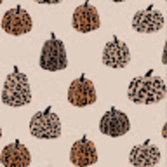 Meet your Posher, Jaydence - Picture 1 of 1